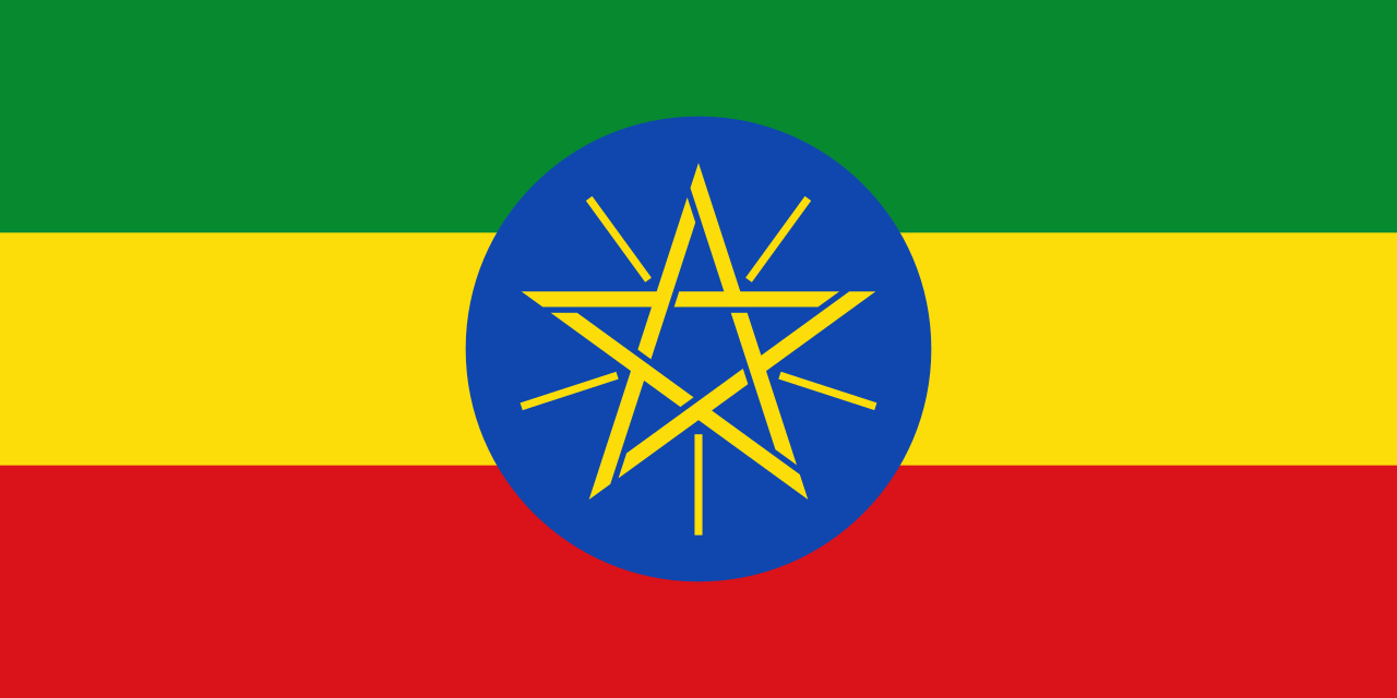 Next Prime Minister of Ethiopia?