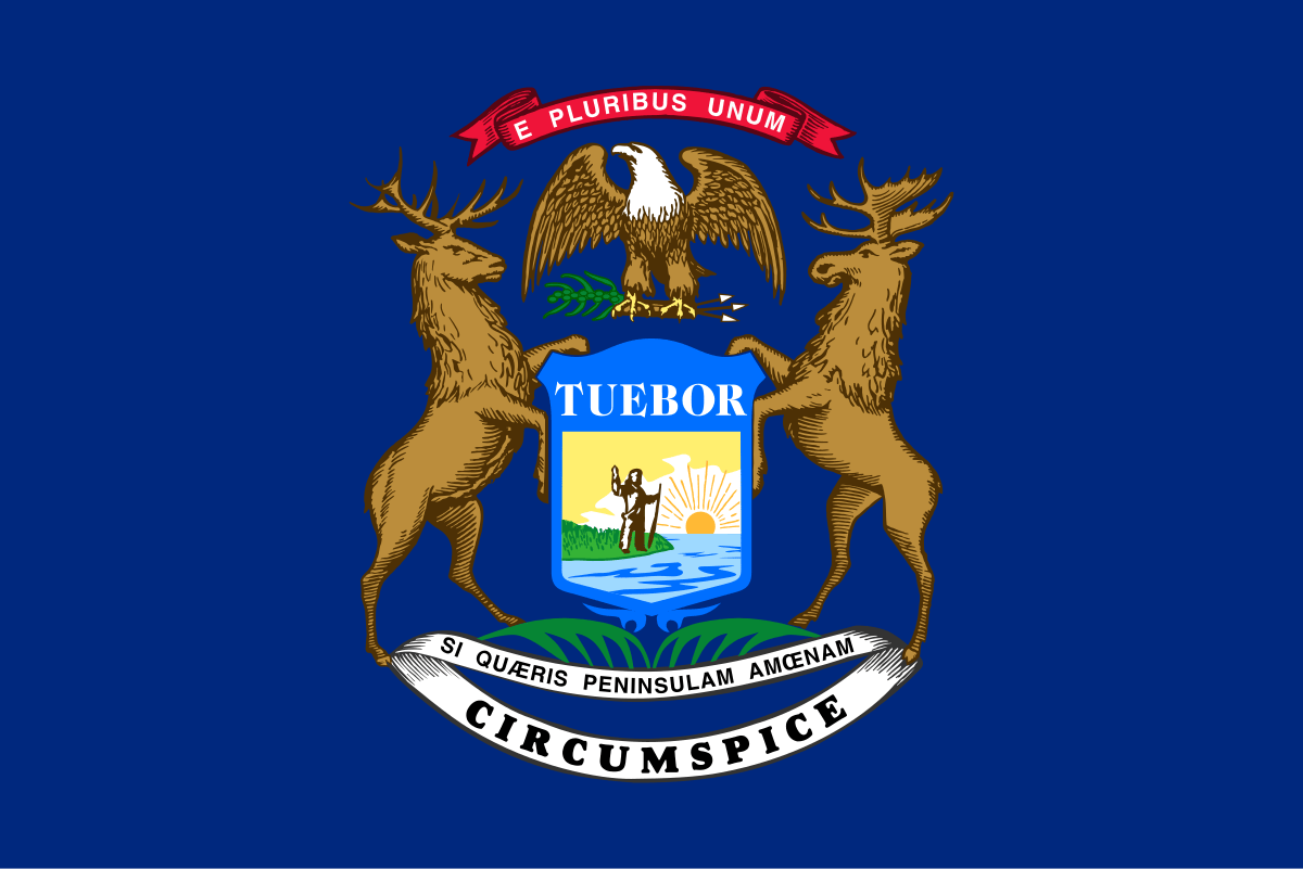 Michigan Democratic Senate Primary Winner